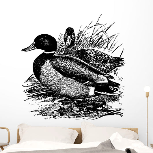 Birds Mallard Wall Decal