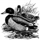 Birds Mallard Wall Decal