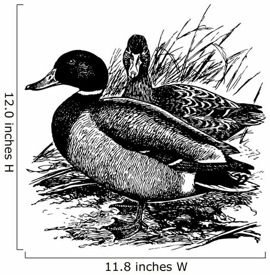 Birds Mallard Wall Decal