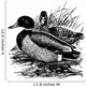 Birds Mallard Wall Decal