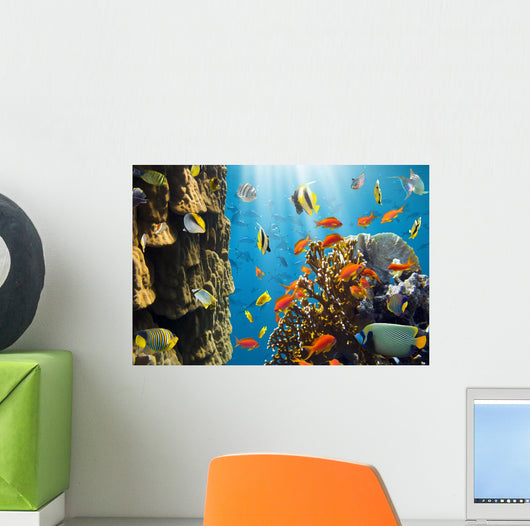 Coral and Fish