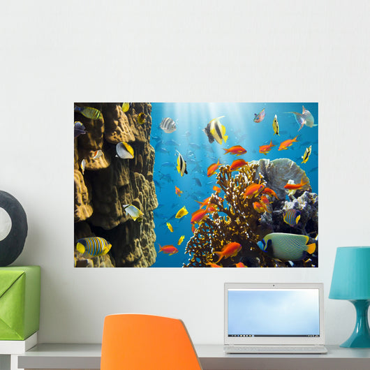 Coral and Fish