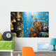Coral and Fish