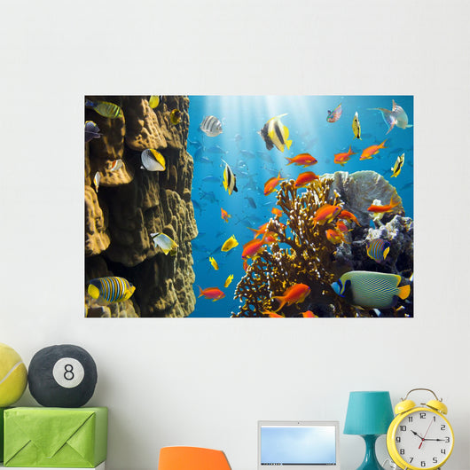 Coral and Fish