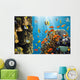 Coral and Fish