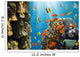 Coral and Fish