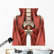 Psoas Muscles Wall Decal