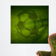 Vector Watercolor Soccer Ball