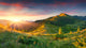 Beautiful Summer Landscape Mountains