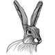 Rabbit or hare head vector illustration Wall Decal