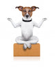 yoga dog Wall Decal