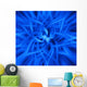 Electric Blue Star Wall Mural
