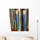 Australian Instrument Didgeridoo Wall Decal