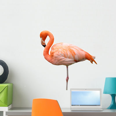 Flamingo Wall Decal shown on a wall