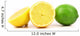 Lime and Lemon Slices Wall Decal