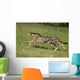 Gepard Bewegung Wall Decal