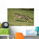 Gepard Bewegung Wall Decal