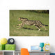 Gepard Bewegung Wall Decal