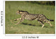 Gepard Bewegung Wall Decal