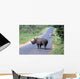 Rhino and Zebra Wall Decal