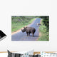 Rhino and Zebra Wall Decal