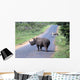 Rhino and Zebra Wall Decal