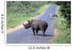 Rhino and Zebra Wall Decal