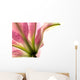 Tiger Lilly Wall Decal