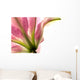 Tiger Lilly Wall Decal