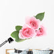 Three Pink Roses Wall Decal