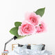 Three Pink Roses Wall Decal