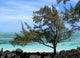 Plage Wall Decal
