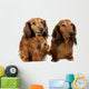 Pair Dog Long-haired Dachshund Wall Decal