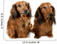 Pair Dog Long-haired Dachshund Wall Decal