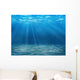 Tranquil Underwater Scene with Wall Decal