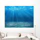 Tranquil Underwater Scene with Wall Decal