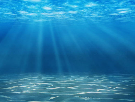 Tranquil Underwater Scene with Wall Decal