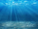 Tranquil Underwater Scene with Wall Decal