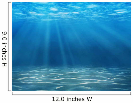 Tranquil Underwater Scene with Wall Decal