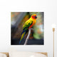 Sun Conure Wall Decal