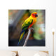 Sun Conure Wall Decal