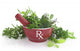 Porcelain Mortar with Rx Wall Decal
