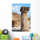 Antique Stone Statue Ancient Wall Decal