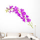 Wild Lavender Illustration Wall Decal