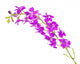 Wild Lavender Illustration Wall Decal