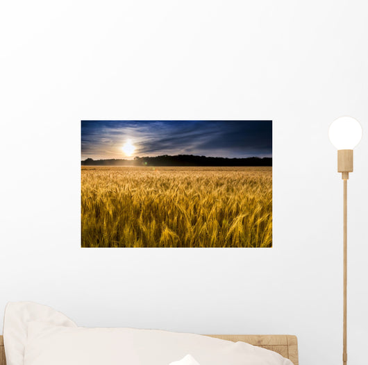 Misty Sunrise over Golden Wall Decal