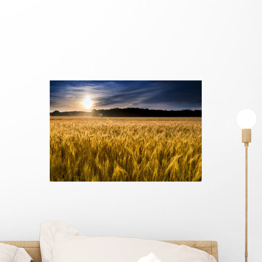 Misty Sunrise over Golden Wall Decal