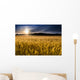 Misty Sunrise over Golden Wall Decal
