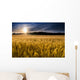 Misty Sunrise over Golden Wall Decal