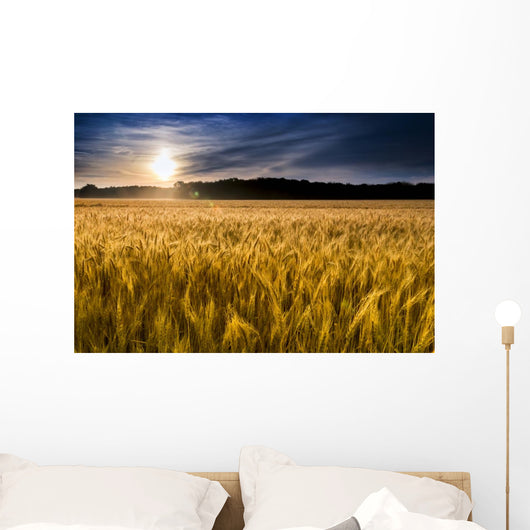 Misty Sunrise over Golden Wall Decal